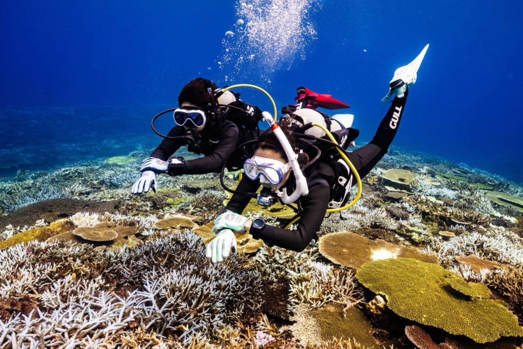 Bali Dive Shop: Your Gateway to Extraordinary Underwater Adventures